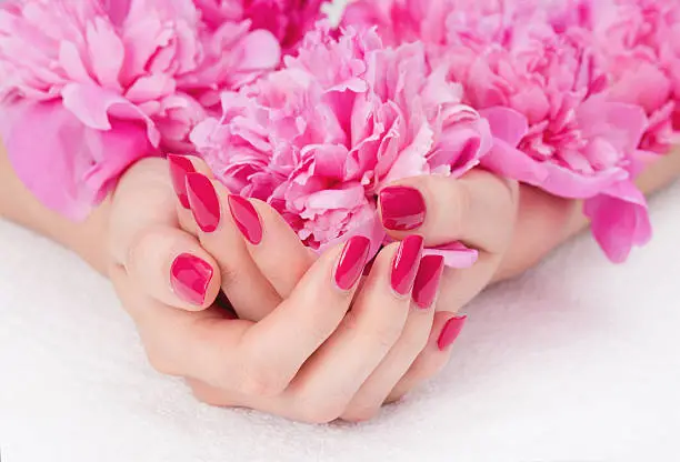 Photo of Pink manicure and bright flowers