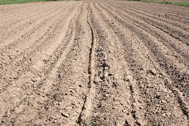 Ploughed field stock photo
