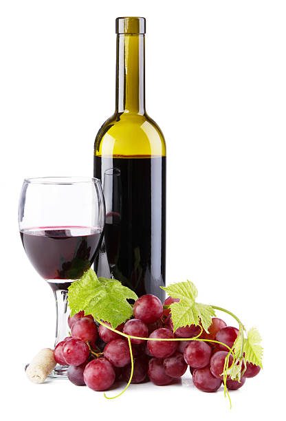 grape harvest bucket with red wine bottle and wine glass in Mediterranean vineyard