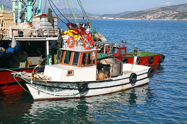 istock Turkish Fishing Boats 153587019
