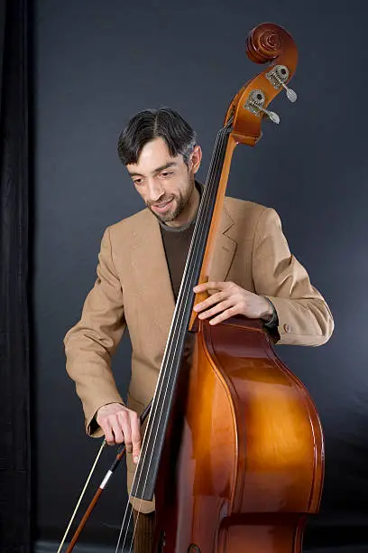 Photo of Musician On Double Bass