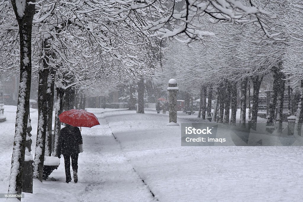 Rojo paraguas bajo la nieve - Foto de stock de Adulto libre de derechos