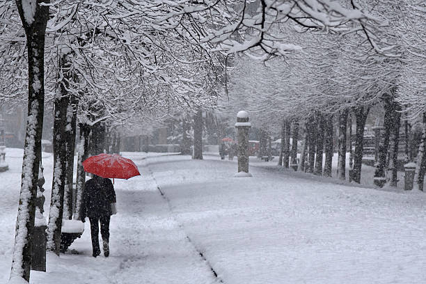 istock Red umbrella under the snow 153588265