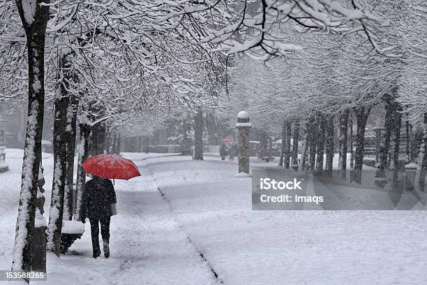 Красный Зонт Под Снежного Барса — стоковые фотографии и другие картинки Белый - Белый, Большой город, Взрослый