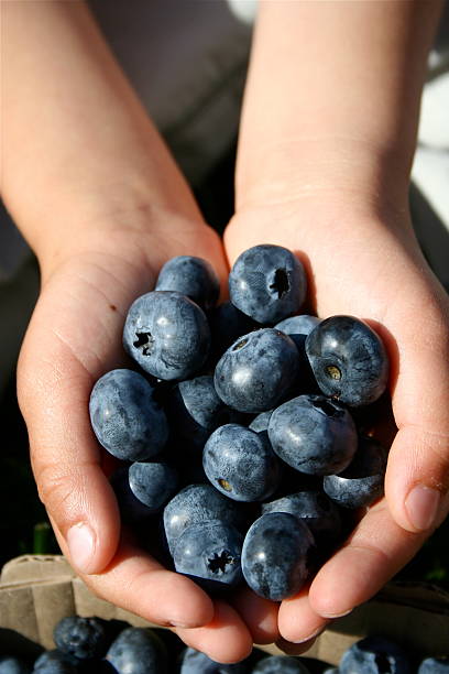 istock handful of blueberries 153588347