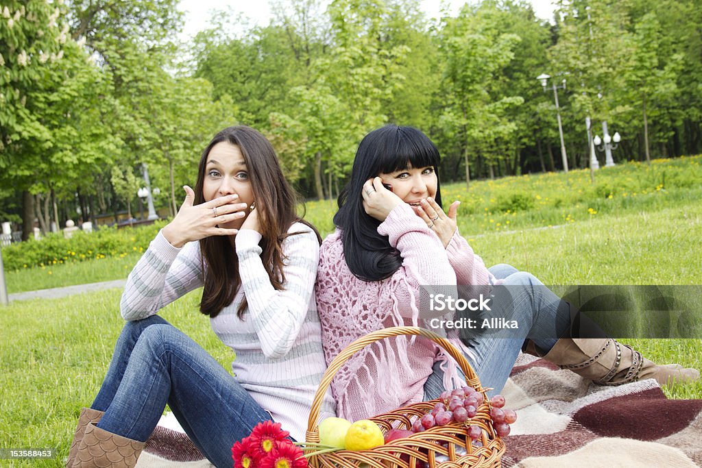 Mother and daughter talk on the phone in park Mother and daughter sitting at a picnic they say, both by phone next to a fruit basket with flowers and wine Adult Stock Photo