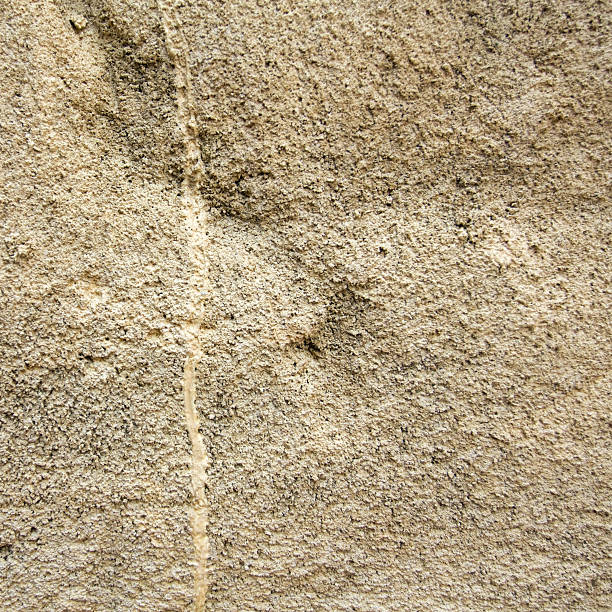 Beige sandstone background stock photo