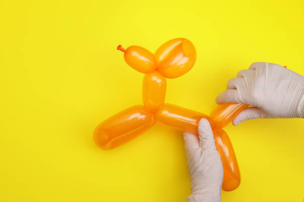 istock Hands holding balloon poodle dog 1535897819