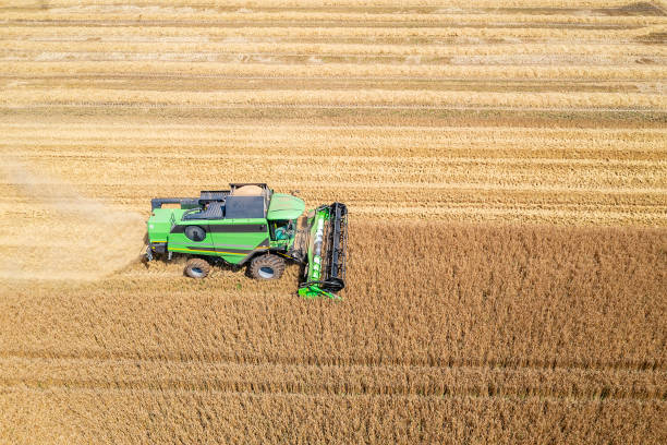 istock Combine harvester, aerial view 1535939030