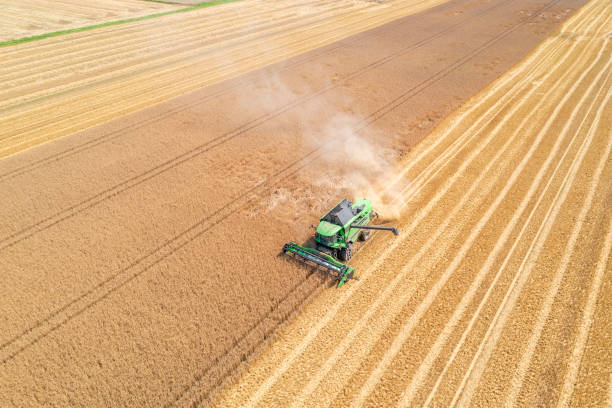istock Combine harvester in a wheat field 1535946164