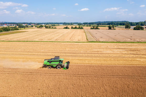 istock Combine harvester in field from above 1535964989