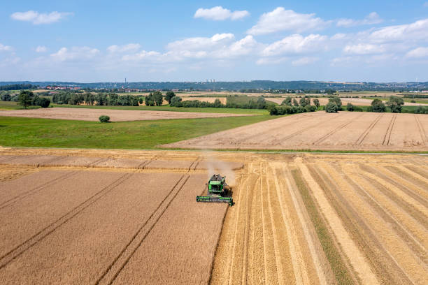 istock Combine harvester harvests wheat 1535971750