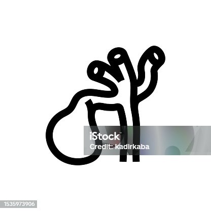 istock Gallbladder and Human Organs Line icon, Design, Pixel perfect, Editable stroke. Logo, Sign, Symbol. 1535973906