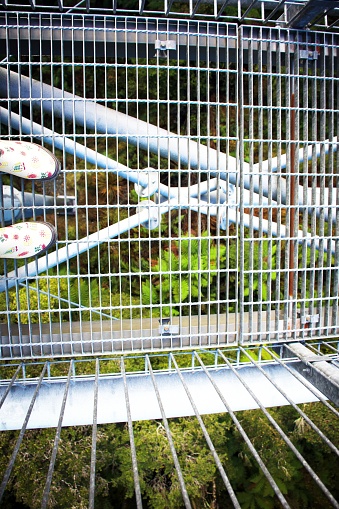 A selfie foot style image looking down through the elevated platform walkway in the native forest. Taken on the Hokitika Treetop Walk in the Westland District of New Zealand's South Island.