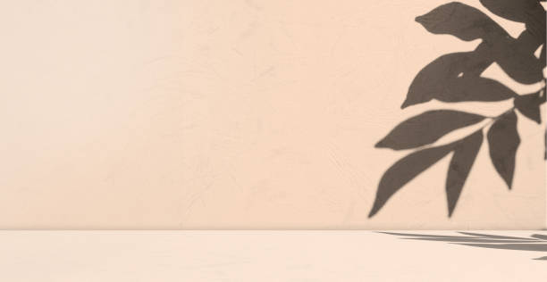 istock Shadow Leaf on Wall Background, Beige Floor Table Product Aesthetic Cosmetic Summer Tropical, Luxury 3d Interior Minimal Studio Room Podium Stage Stand Loft Cement Marble Concrete, Space Template 1535991814