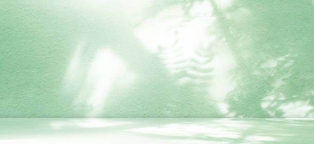 Green Shadow Studio Room Background, Table Product Aesthetic Cosmetic Summer Tropical Backdrop, Overlay Light Leaves Pastel on Wall Floor Podium Loft blur Cement Marble Minimal Kitchen Template