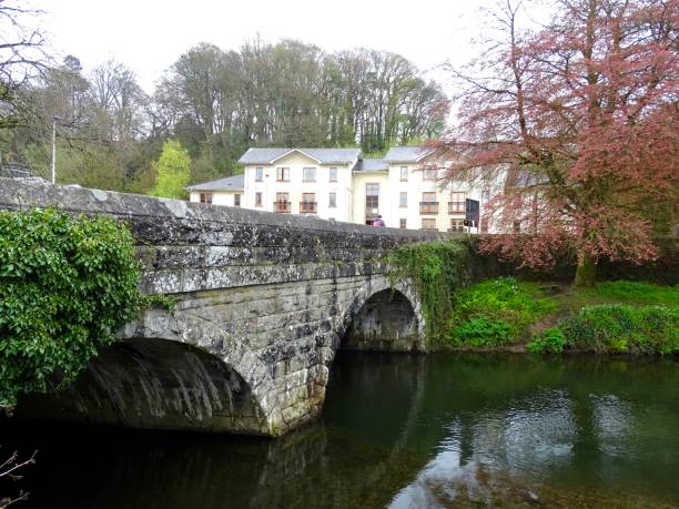 istock The bridge over the river Tavy In Tavistock 1535991819