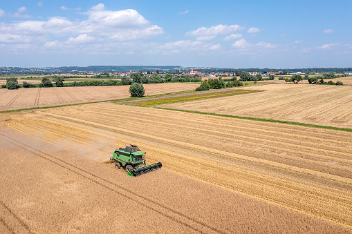 A green combine harvester in a yellow grain field under blue sky, aerial view.