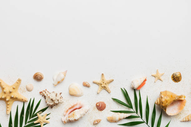 istock Summer time concept Flat lay composition with beautiful starfish and sea shells on colored table, top view with copy space for text 1536068760