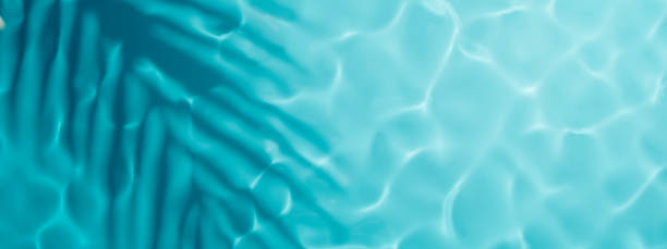 istock Aqua waves and coconut palm shadow on blue background. Water pool texture top view 1536083762