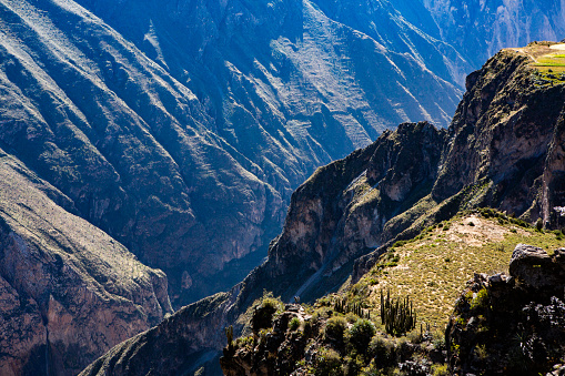 Peru is a megadiverse country with habitats ranging from the arid plains of the Pacific coastal region in the west to the peaks of the Andes mountains