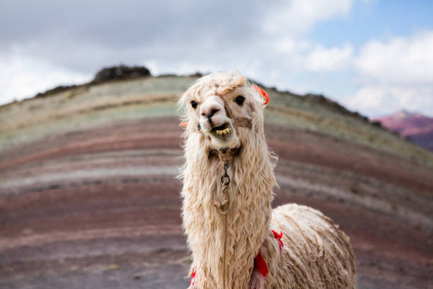 istock A picture with beautiful landscape in Peru. 1536107992