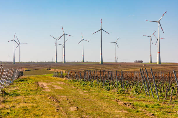 A dirt road through fields leads to a multitude of wind turbines ruining the landscape stock photo