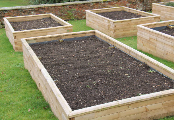 istock Wooden Raised Beds. 1536113856