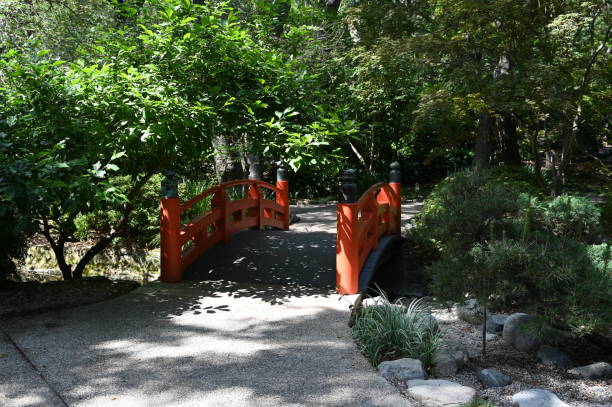 istock Pond at a Botanical Gardens in Los Angeles. 1536143739