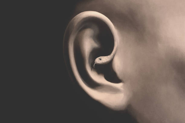 Illustration of serpent whispering in your ear, sin temptation surreal abstract concept Illustration of serpent whispering in your ear, sin temptation surreal abstract concept pics of a bewitched stock illustrations