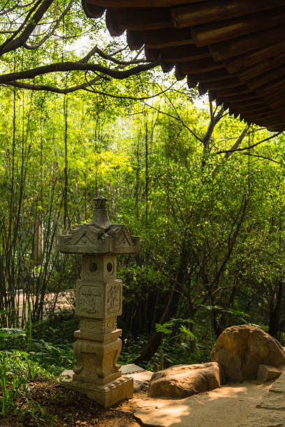 istock Yuexiu Park in Guangzhou, China 1536201453