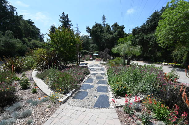 istock Pathway through a botanical garden in Los Angeles. 1536209956