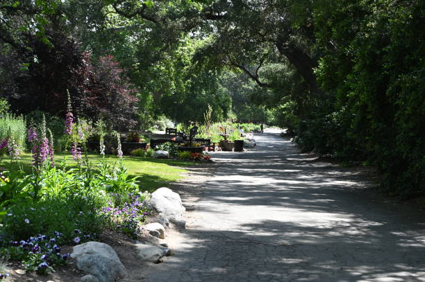 istock Pathway through a botanical garden in Los Angeles. 1536210992