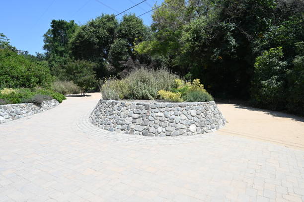 istock Pathway through a botanical garden in Los Angeles. 1536213045