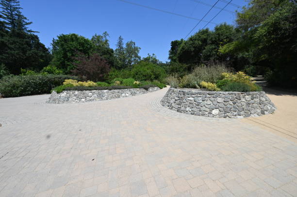 istock Pathway through a botanical garden in Los Angeles. 1536213575