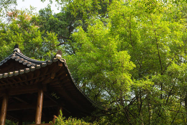 istock Yuexiu Park in Guangzhou, China 1536219413
