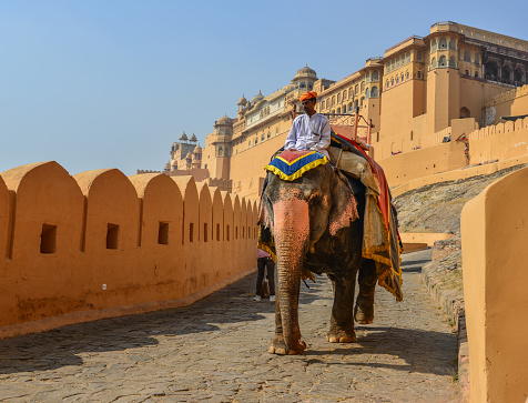 Jaipur, India - Nov 3, 2017. Riding decorated elephant up the hill to the main entrance of Amber Fort in Jaipur, India.