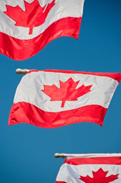 istock Canadian Flags Against a Clear Blue Sky 1536241570