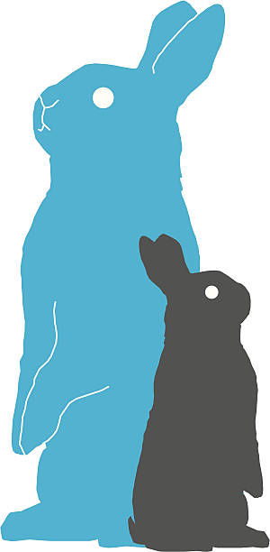 Two Bunny Standing vector art illustration