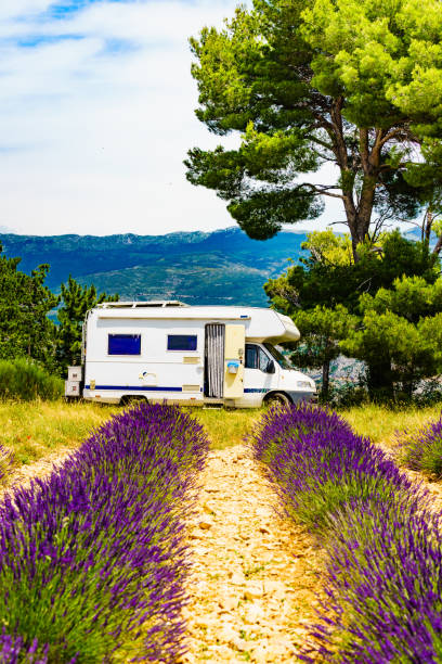 istock Caravan camping at lavender field, France 1536264174