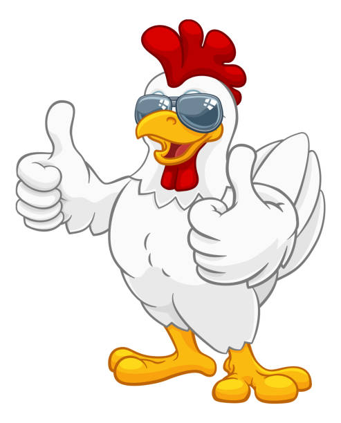 Chicken Rooster Cockerel Bird Sunglasses Cartoon A chicken rooster cockerel bird cartoon character in cool shades or sunglasses giving a double thumbs up chicken thumbs up design stock illustrations