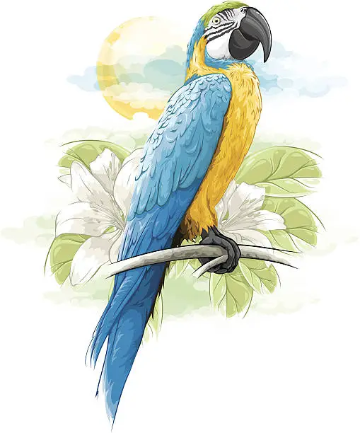Vector illustration of Blue Macaw Parrot Perched on Branch