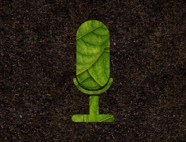 Microphone shape of green leaves on Soil background ecology concept