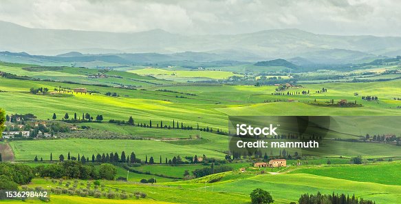 istock Landscape in Tuscany, green  rolling hills 1536298442