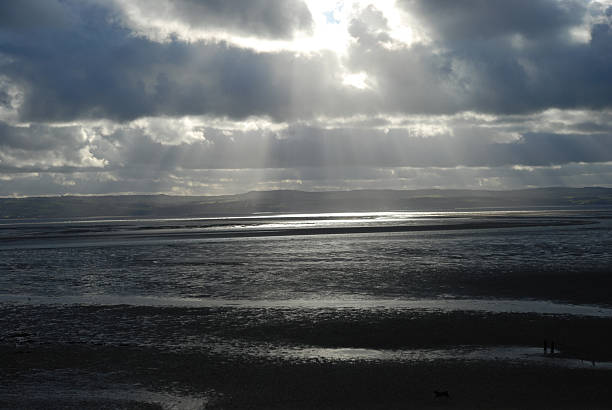 istock sunshine reflecting on the water 153630353
