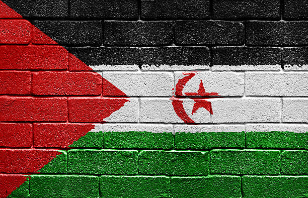 istock Flag of Western Sahara on brick wall 153630437