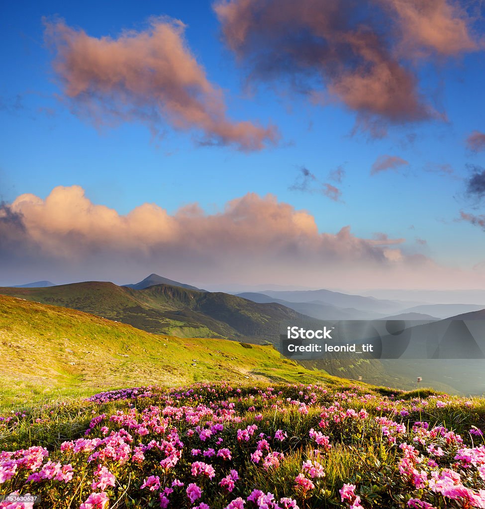 Paisaje de montaña - Foto de stock de Aire libre libre de derechos