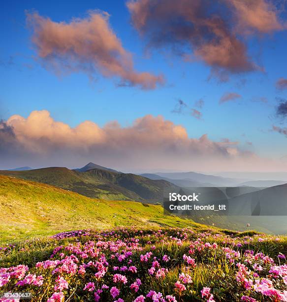 Paisaje De Montaña Foto de stock y más banco de imágenes de Aire libre - Aire libre, Azul, Belleza