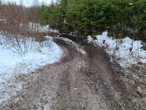A one lane muddy road with snow around it in the wilderness.