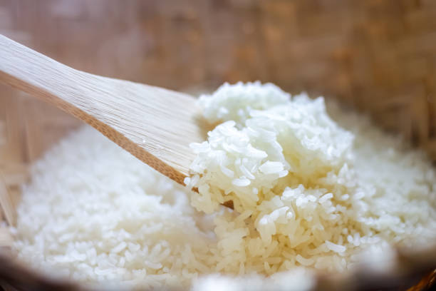 cận cảnh với cơm que đã được nấu chín trông rất ngon. - rice hình ảnh sẵn có, bức ảnh & hình ảnh trả phí bản quyền một lần
